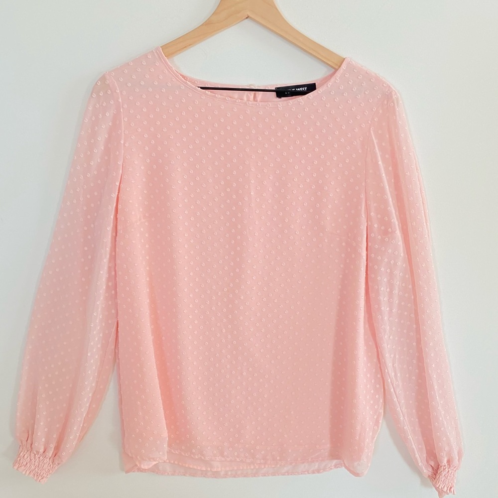 Renee C. Light Pink Swiss Dot Long-Sleeve Blouse